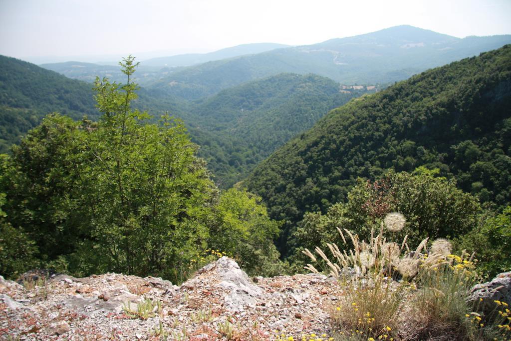 Borgo Fango Daire Montieri Dış mekan fotoğraf