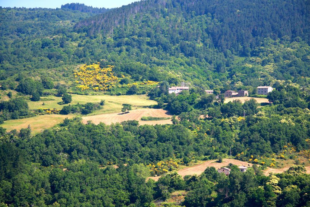 Borgo Fango Daire Montieri Dış mekan fotoğraf