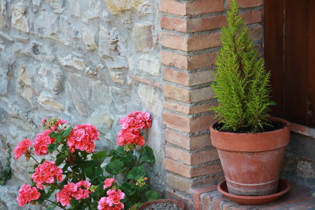 Borgo Fango Daire Montieri Dış mekan fotoğraf